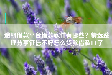 逾期借款平台借款软件有哪些？精选整理分享征信不好怎么贷款借款口子