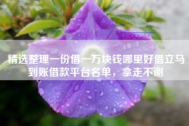 精选整理一份借一万块钱哪里好借立马到账借款平台名单，拿走不谢