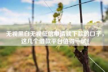 无视黑白无视征信申请就下款的口子，这几个借款平台值得一试！