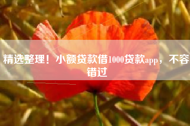 精选整理！小额贷款借1000贷款app，不容错过