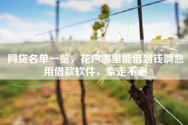 网贷名单一览，花户哪里能借到钱啊急用借款软件，拿走不谢