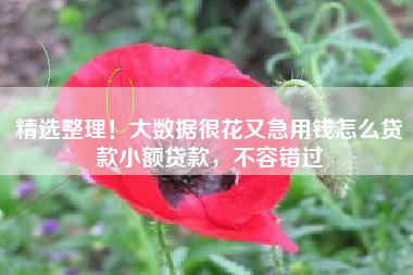 精选整理！大数据很花又急用钱怎么贷款小额贷款，不容错过