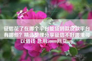 征信花了在哪个平台能贷到款贷款平台有哪些？精选整理分享征信不好哪里可以借钱 急用50000网贷app