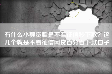 有什么小额贷款是不看征信秒下款？这几个就是不看征信网贷百分百下款口子