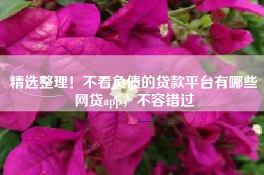 精选整理！不看负债的贷款平台有哪些网贷app，不容错过