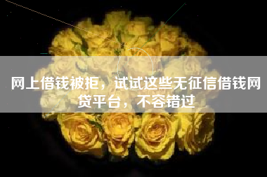 网上借钱被拒，试试这些无征信借钱网贷平台，不容错过