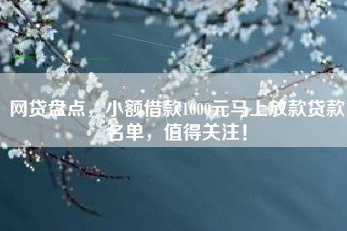 网贷盘点，小额借款1000元马上放款贷款名单，值得关注！