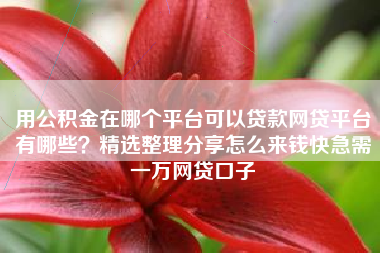 用公积金在哪个平台可以贷款网贷平台有哪些？精选整理分享怎么来钱快急需一万网贷口子