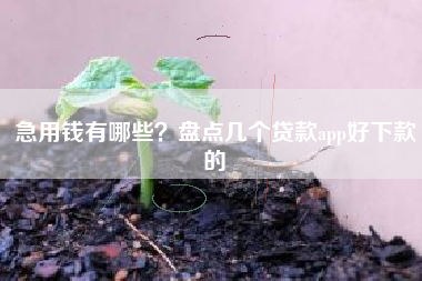 急用钱有哪些？盘点几个贷款app好下款的