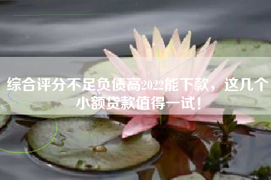 综合评分不足负债高2022能下款，这几个小额贷款值得一试！