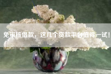 免审核借款，这几个贷款平台值得一试！