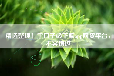 精选整理！黑口子必下款app网贷平台，不容错过