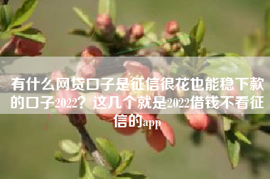 有什么网贷口子是征信很花也能稳下款的口子2022？这几个就是2022借钱不看征信的app