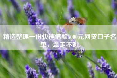 精选整理一份快速借款5000元网贷口子名单，拿走不谢