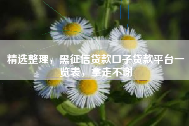 精选整理,黑征信贷款口子贷款平台一览表,拿走不谢 精选整理,黑征信贷款口子贷款平台一览表,拿走不谢