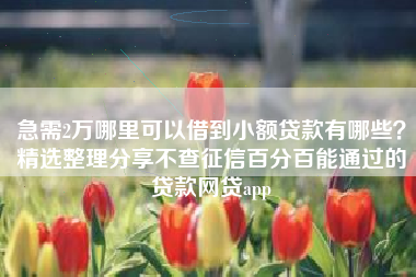 急需2万哪里可以借到小额贷款有哪些？精选整理分享不查征信百分百能通过的贷款网贷app