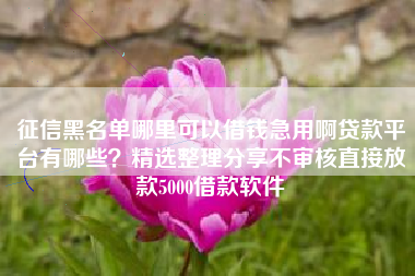 征信黑名单哪里可以借钱急用啊贷款平台有哪些？精选整理分享不审核直接放款5000借款软件