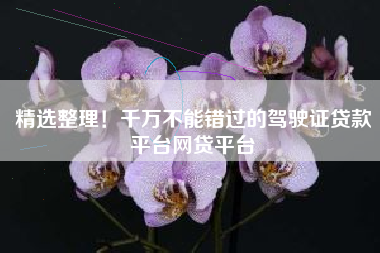 精选整理！千万不能错过的驾驶证贷款平台网贷平台