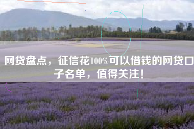 网贷盘点，征信花100%可以借钱的网贷口子名单，值得关注！