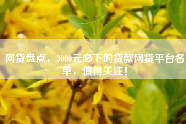 网贷盘点，3000元必下的贷款网贷平台名单，值得关注！