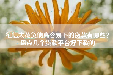 征信太花负债高容易下的贷款有哪些？盘点几个贷款平台好下款的