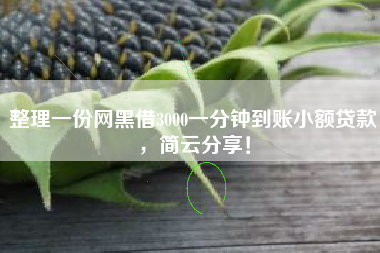 整理一份网黑借3000一分钟到账小额贷款,简云分享! 整理一份网黑借3000一分钟到账小额贷款,简云分享!