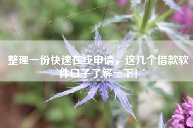 整理一份快速在线申请，这几个借款软件口子了解一下！