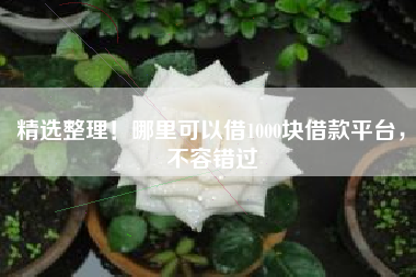 精选整理!哪里可以借1000块借款平台,不容错过 精选整理!哪里可以借1000块借款平台,不容错过