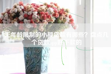 无年龄限制的小额贷款有哪些？盘点几个贷款app好下款的