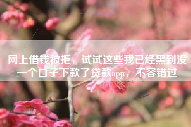 网上借钱被拒，试试这些我已经黑到没一个口子下款了贷款app，不容错过