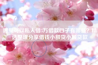 哪里可以私人借5万借款口子有哪些？精选整理分享借钱小额贷小额贷款