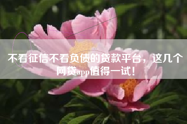 不看征信不看负债的贷款平台，这几个网贷app值得一试！