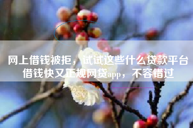 网上借钱被拒，试试这些什么贷款平台借钱快又正规网贷app，不容错过