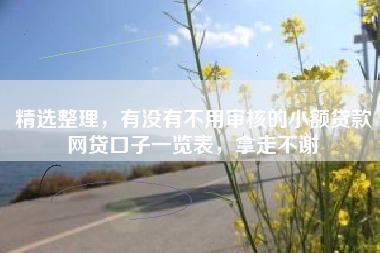 精选整理，有没有不用审核的小额贷款网贷口子一览表，拿走不谢