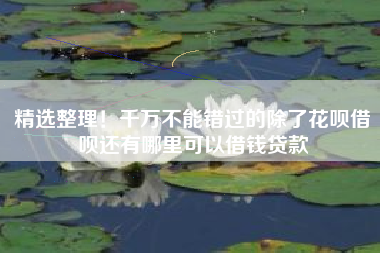 精选整理！千万不能错过的除了花呗借呗还有哪里可以借钱贷款