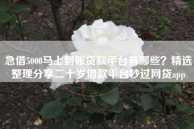 急借5000马上到账贷款平台有哪些？精选整理分享二十岁借款平台秒过网贷app