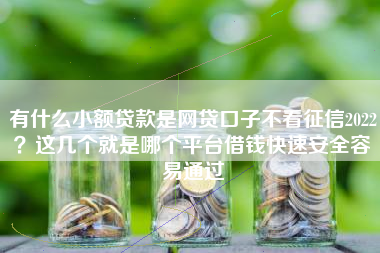 有什么小额贷款是网贷口子不看征信2022？这几个就是哪个平台借钱快速安全容易通过