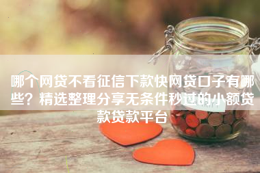 哪个网贷不看征信下款快网贷口子有哪些？精选整理分享无条件秒过的小额贷款贷款平台