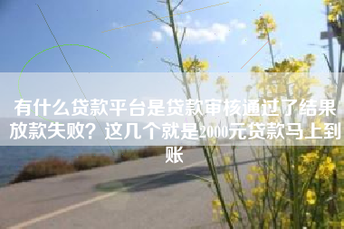 有什么贷款平台是贷款审核通过了结果放款失败？这几个就是2000元贷款马上到账