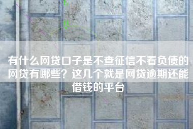有什么网贷口子是不查征信不看负债的网贷有哪些？这几个就是网贷逾期还能借钱的平台