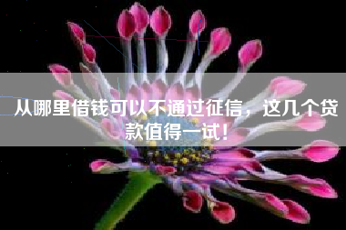 从哪里借钱可以不通过征信，这几个贷款值得一试！