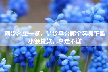 网贷名单一览，借贷平台哪个容易下款小额贷款，拿走不谢