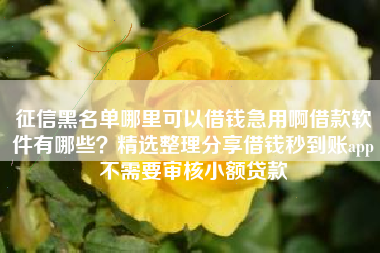 征信黑名单哪里可以借钱急用啊借款软件有哪些？精选整理分享借钱秒到账app不需要审核小额贷款