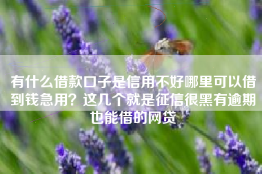 有什么借款口子是信用不好哪里可以借到钱急用？这几个就是征信很黑有逾期也能借的网贷