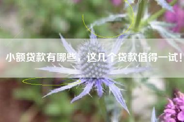 小额贷款有哪些，这几个贷款值得一试！