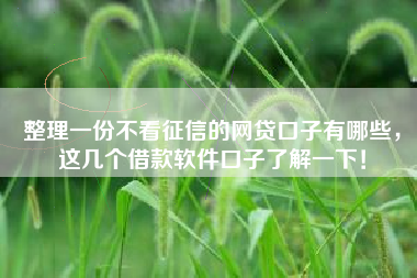 整理一份不看征信的网贷口子有哪些，这几个借款软件口子了解一下！
