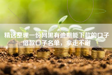 精选整理一份网黑有逾期能下款的口子借款口子名单，拿走不谢