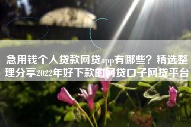 急用钱个人贷款网贷app有哪些？精选整理分享2022年好下款的网贷口子网贷平台