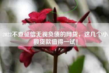2022不查征信无视负债的网贷,这几个小额贷款值得一试! 2022不查征信无视负债的网贷,这几个小额贷款值得一试!