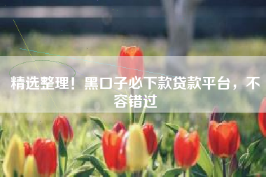 精选整理！黑口子必下款贷款平台，不容错过
